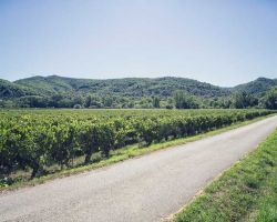 Domaine Du Chemin Royal Alentours