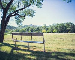 Domaine Du Chemin Royal Banc