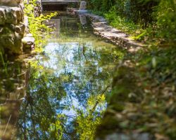 Domaine Du Chemin Royal Le Canal